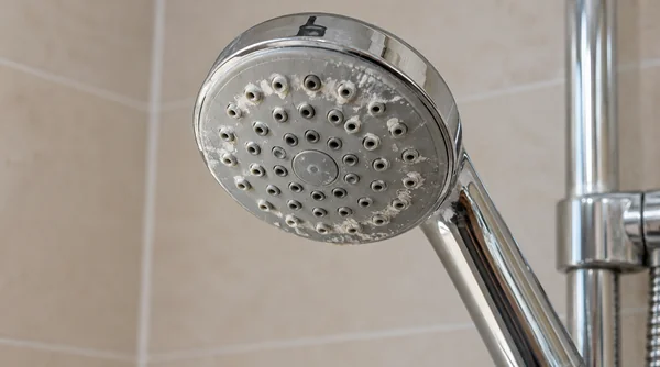Mineral deposits around the nozzles of a chrome showerhead.